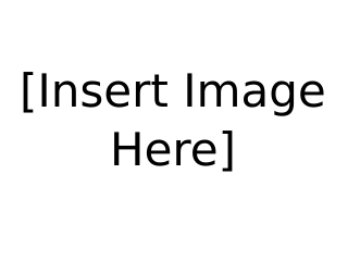  insert image here .svg (1)